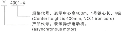 西安泰富西玛Y系列(H355-1000)高压YKS4503-2/900KW三相异步电机型号说明